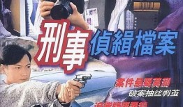 tvb电视剧在线观看国语,TVB剧集国语版在线观看攻略